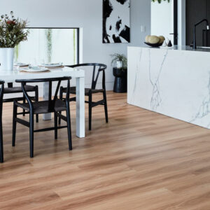 Blackbutt