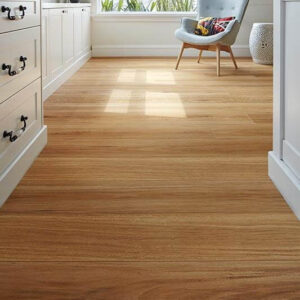 Blackbutt Oakleaf