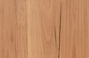 Coastal Blackbutt (180mm)