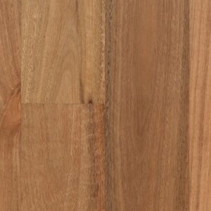 Spotted Gum 136 mm