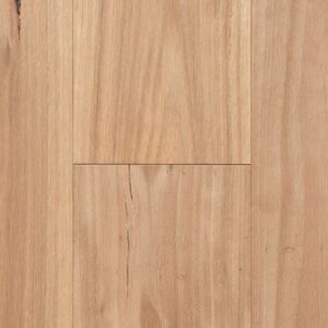 Blackbutt Infinite