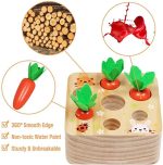Wooden Carrot Harvest Shape Sorter Toy - Toys Shop Australia | Educational Toys
