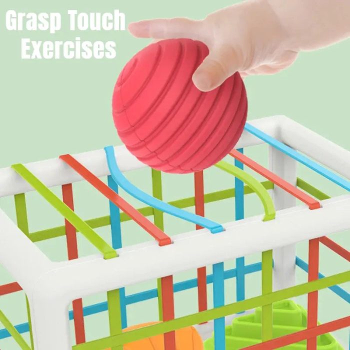 Shape Blocks Sorting Montessori Toy - Toys Shop Australia | Educational Toys