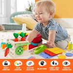 1 in 4 Montessori Wooden Toy - Toys Shop Australia | Educational Toys